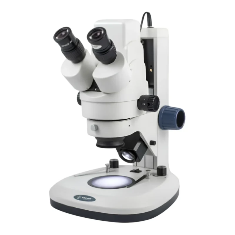 Estéreo Microscopio